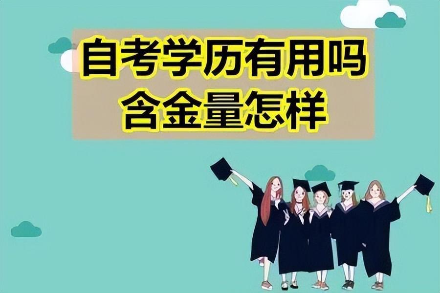 江苏大自考网课，探索高效学习之路