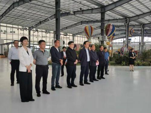 江宁区英语教育网，引领英语教育新篇章