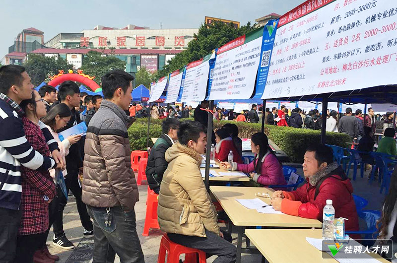 江南区人才市场网站招聘——连接人才与企业的桥梁